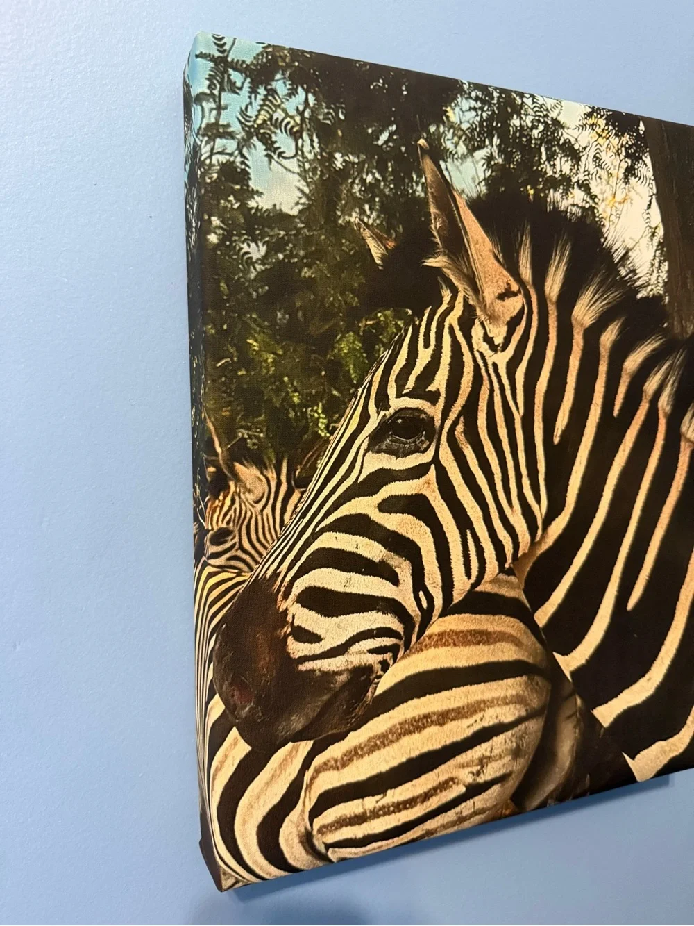 Original Canvas Wall Art - “Zebra Love” - 11 x 14